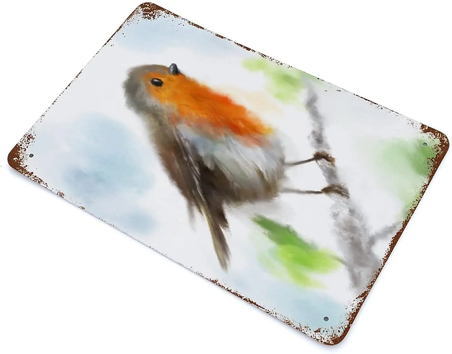 Grmn nque Metl Tn Sgn Brd Wll rt Decors Gft for Her Brtsh Brds Decor 60th Brthdy 70th Nture Plque Poster Ho