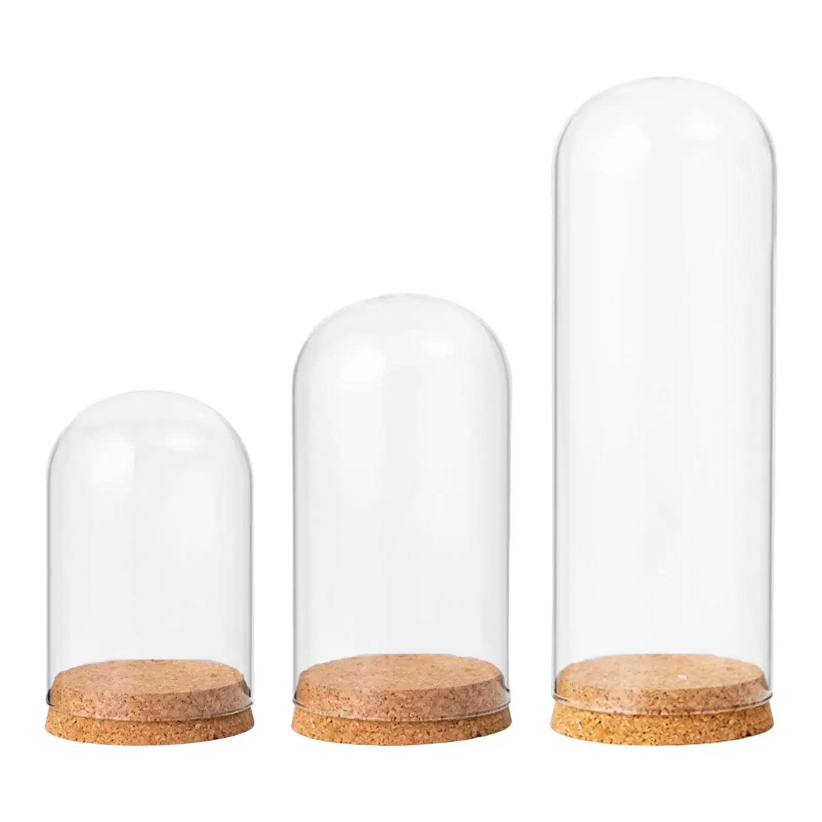 

Cloche Jar with Wood Base Glass Cloche Bell Jar Display Dome for Party Decor