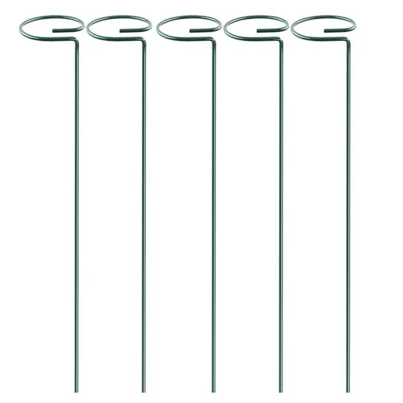 

Plant Stake Support Garden Single Stem Support Stake Plant Rings Single Stem Plant Support Stakes Stakes For Flowers Amaryllis