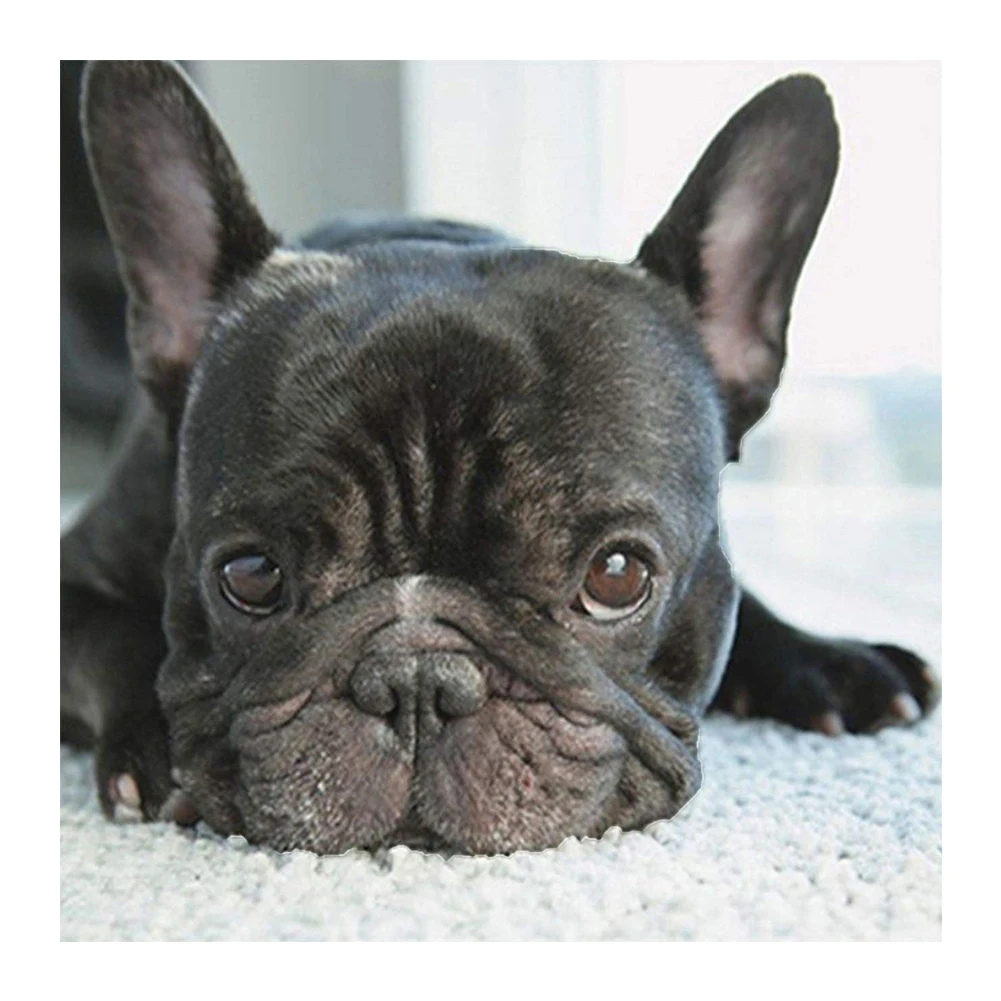 Набор для алмазной мозаики 5D сделай сам |