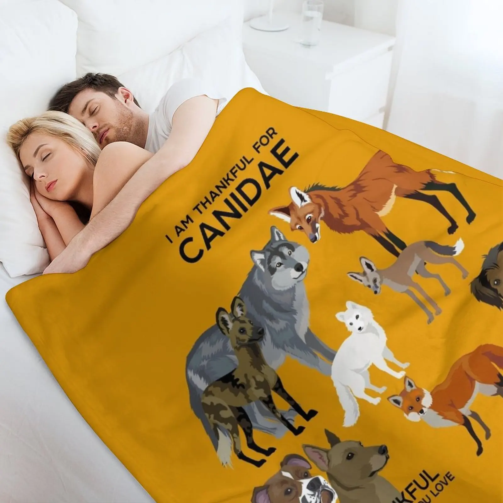 Я благодарен за одеяло для дивана кровать декоративных диванов