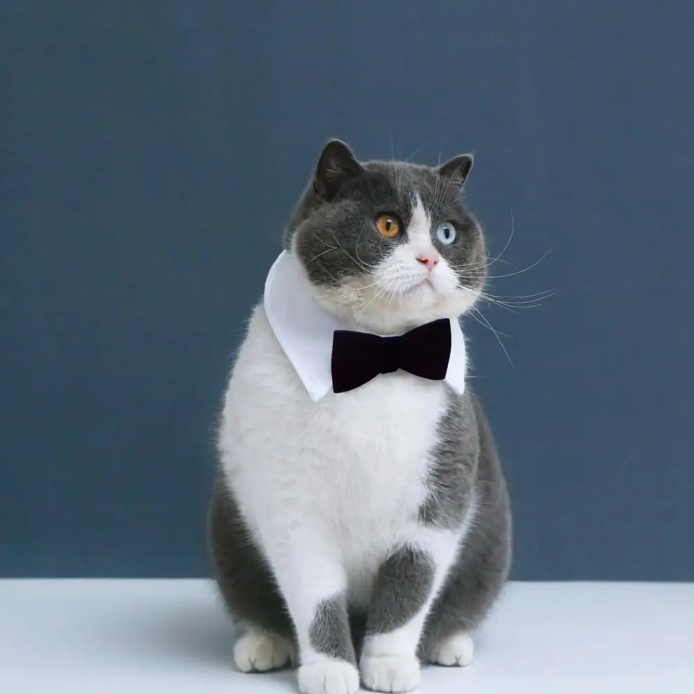 

Pet Collar Comfortable Fake Collar Pet Cat Dog Bowknot Neckerchief