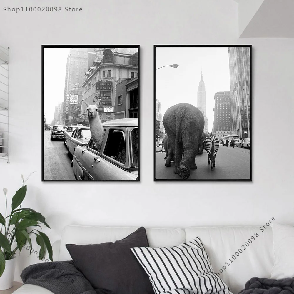 Животные альпака слон Зебра постер с животными черно-белые картины на холсте в