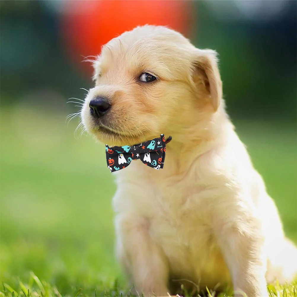 

1pc Collar Prime Collar Collar Cat Collar for