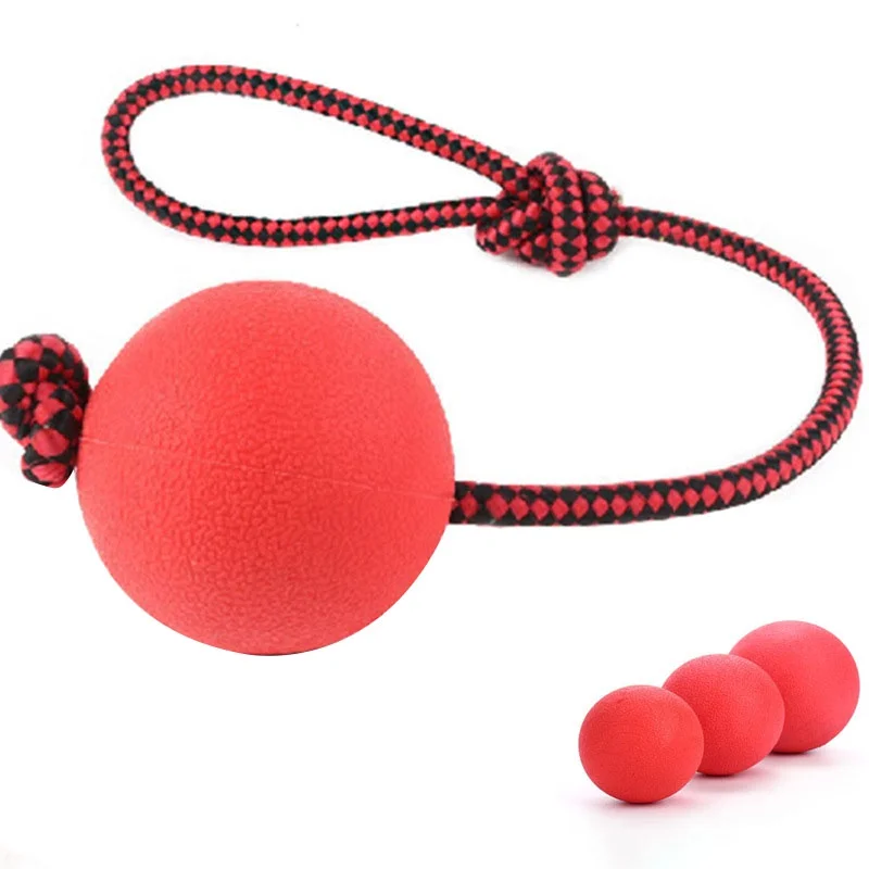 

Indestructible Solid Rubber Ball Pet Dog Toy Training Chew Play Fetch Bite Toys dog toys dog supplies with rope
