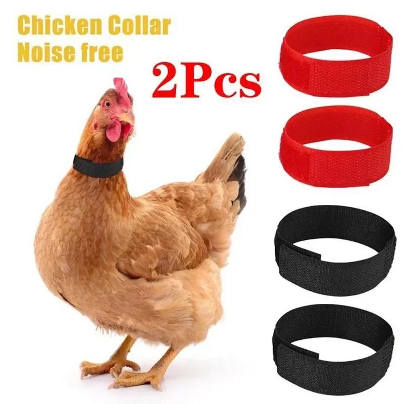 

2pcs No Crow Rooster Collar Chicken Duck Collar Anti-hook Noise Free Neckband Collars Supplies Home Pet Poultry Training Collar