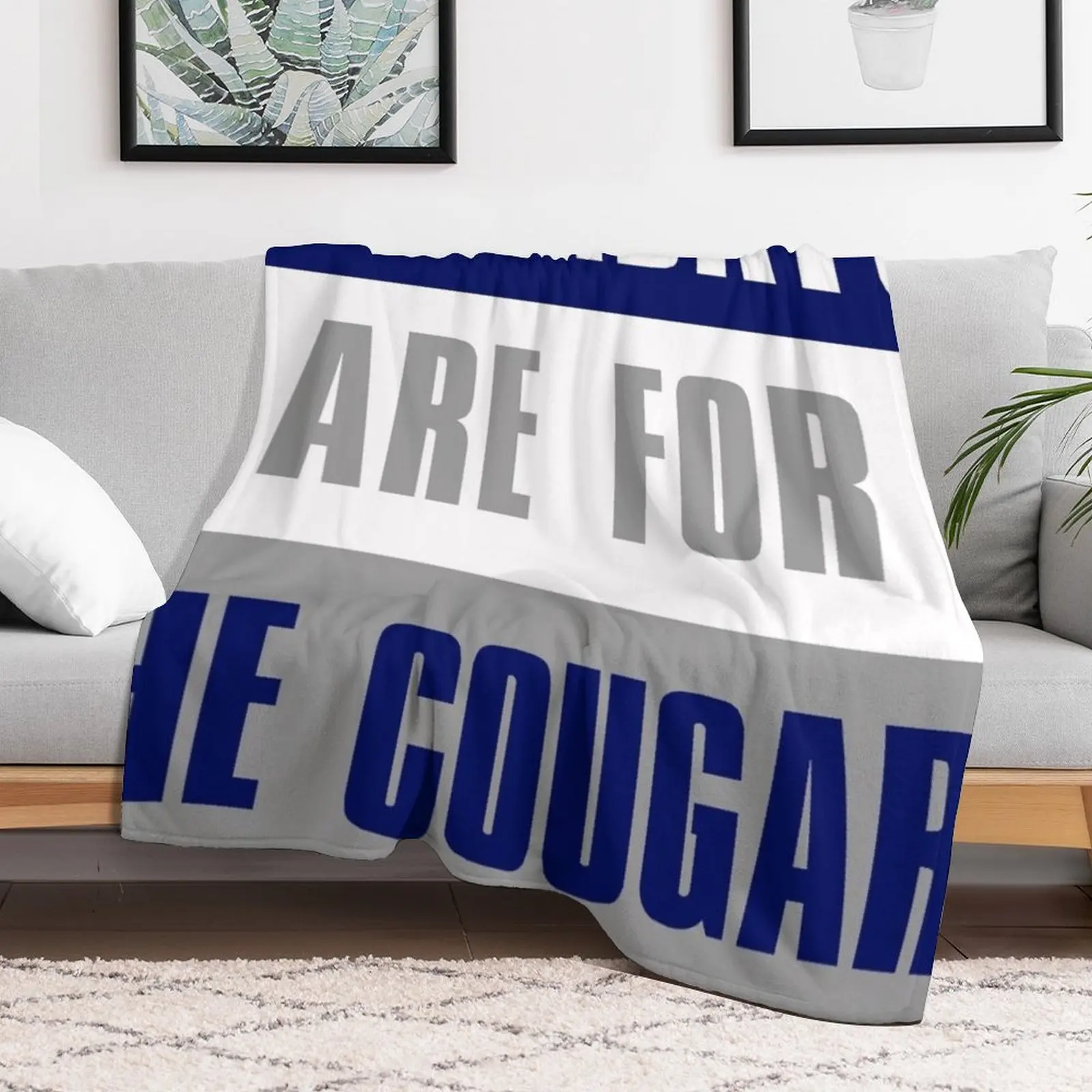 Подстилка для кургаров молодежное Студенческое Одеяло Brigham Модное теплое