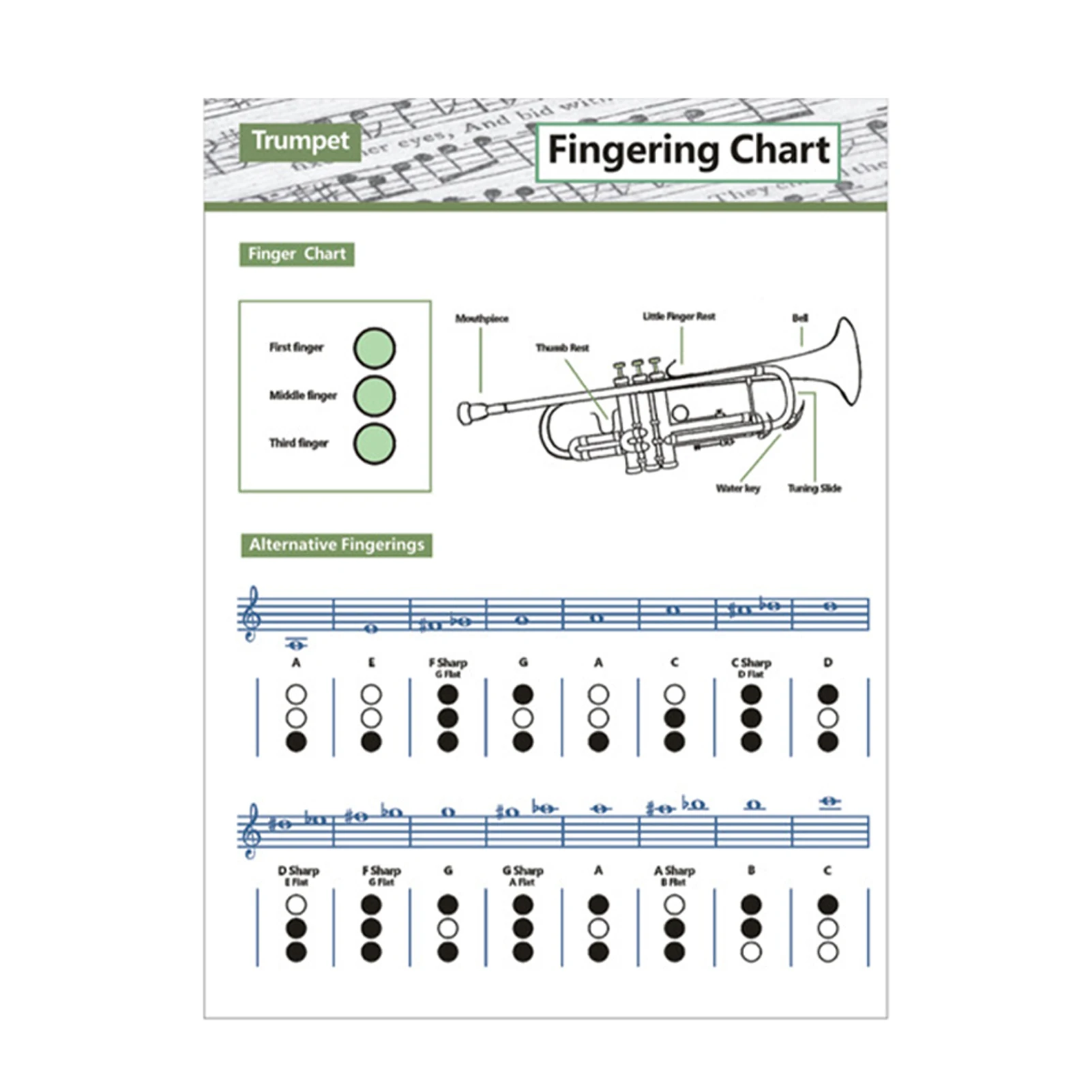 

Music Sheet Useful Foldable Chord Score Illustrated Copper Paper Instruments Trumpet Version Learning For Beginner Scale Learn