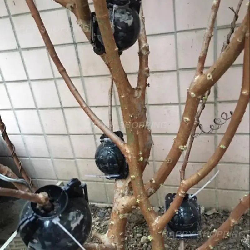 

Plant Breeding Ball Large Medium And Small High-pressure Agricultural Gardening Reusable Planting Supplies Breeding Equipment