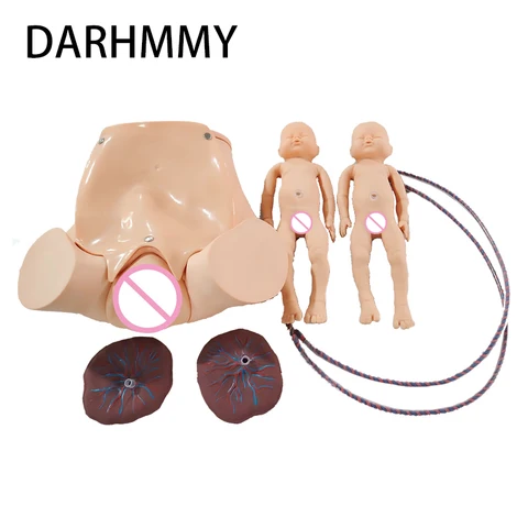 Тренировочный симулятор DARHMMY для обучения родам, медицинское использование, модель для беременных женщин, обучение акушерству