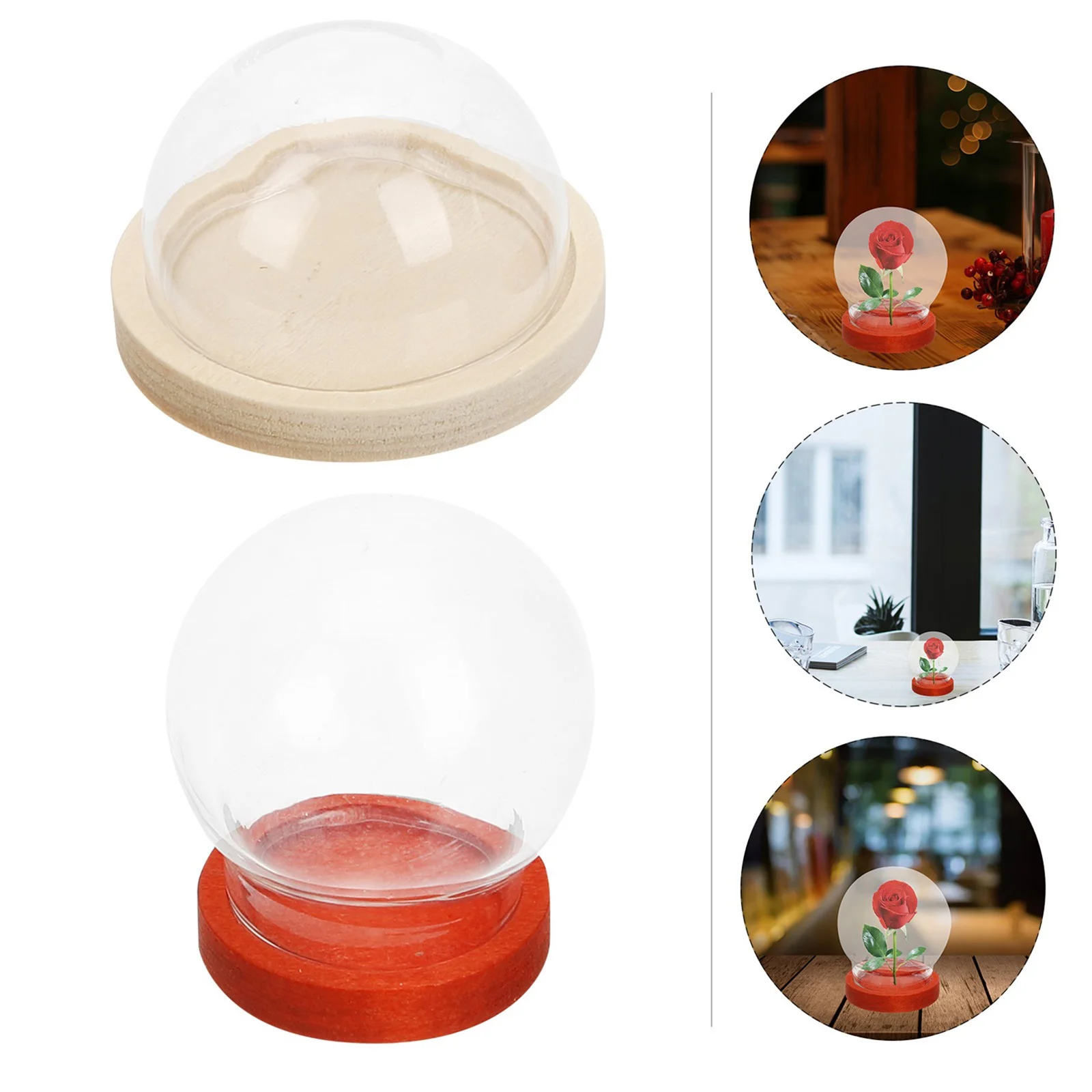

2 Pcs Small Display Case Small Glass Display Case Glass Cloche Clear Display Case Glass Dome Bell Shaped Cloche Dome Plants
