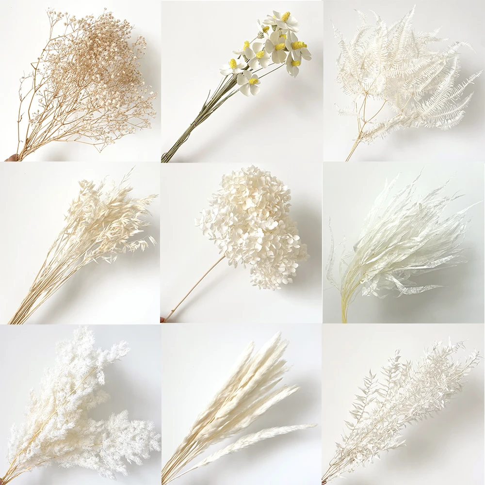 

White Dried Flowers Eternal Life Bouquet Wind Light Luxury Dream Wedding Floral Design Creative Decoration With Flowers