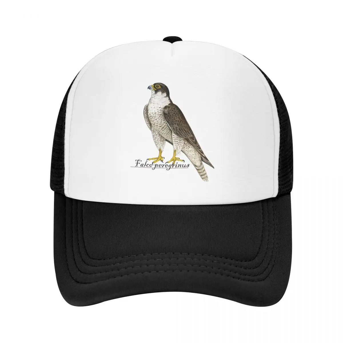 

Falconry Austringer Hawk Trucker Hats Peregrine Falcon Mesh Net Baseball Cap Snapback Outdoor Hip Hop Peaked Hat For Men Women
