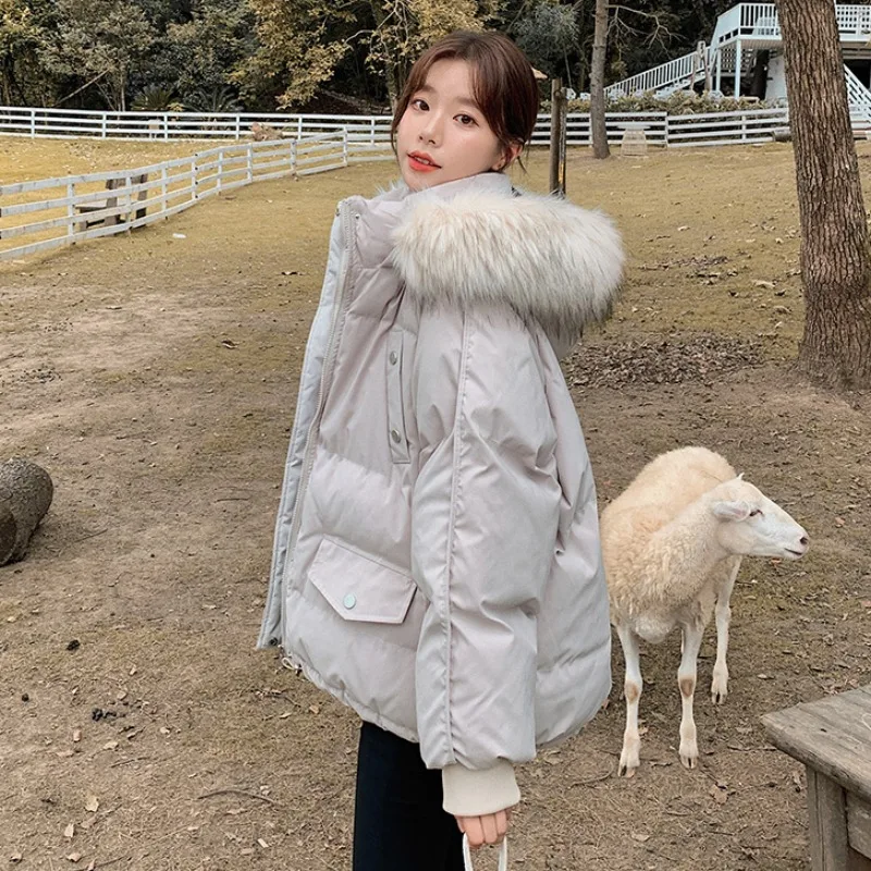 2024 Autumn and Winter New Western Sle Down Cotton Clothes BF Internet Celebri Ins Hong Kong Thickening ... |