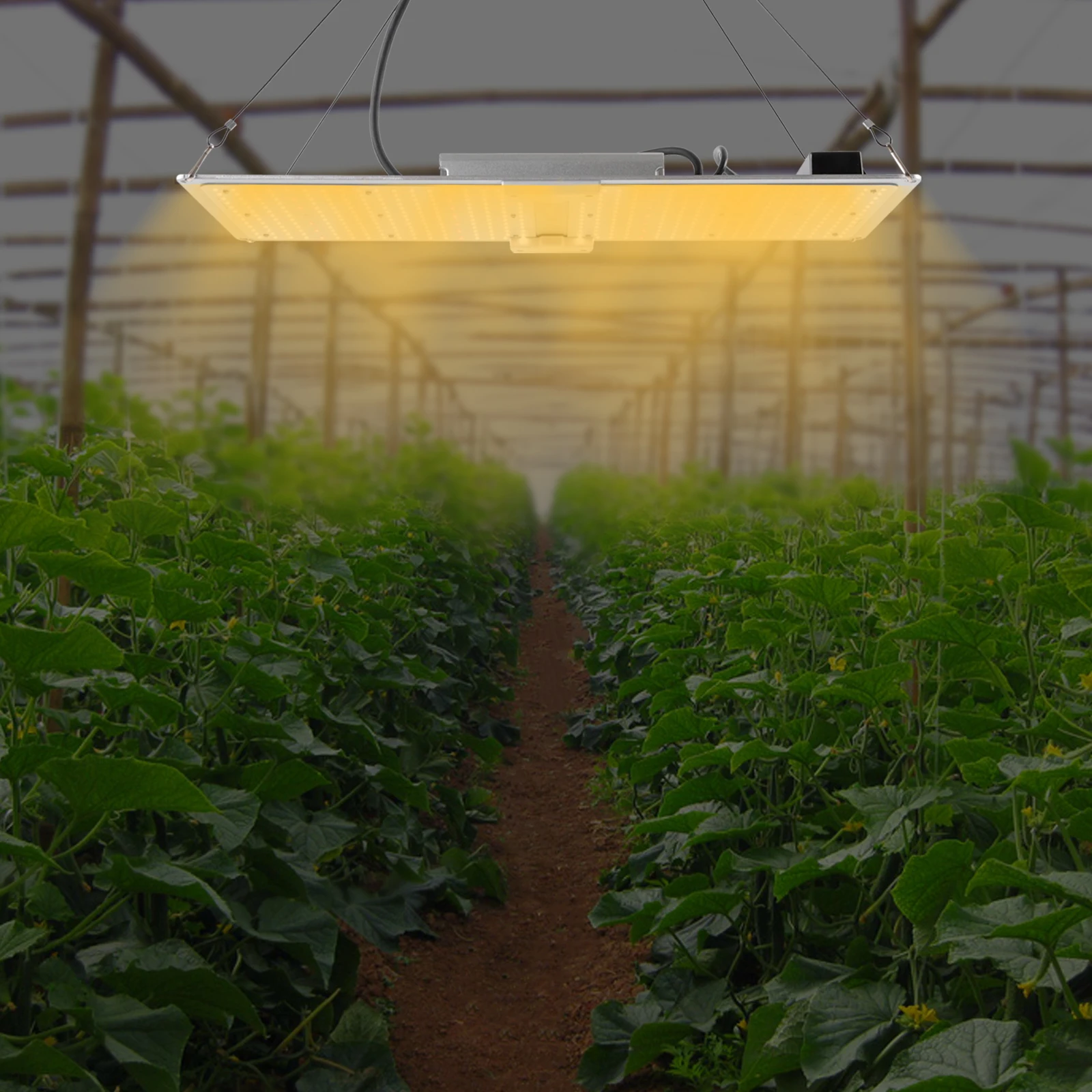 450w Full Spectrum Light For Indoor Plants Flowers Veg Growing