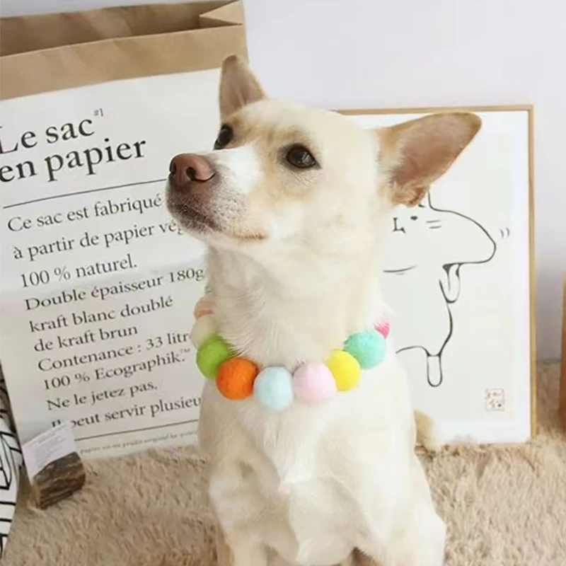 

Ins style Dog Collar Fashion Soft Pet Cat Flower Necklace pet photography Decoration for Dogs Cats Puppy Kitty Decoration