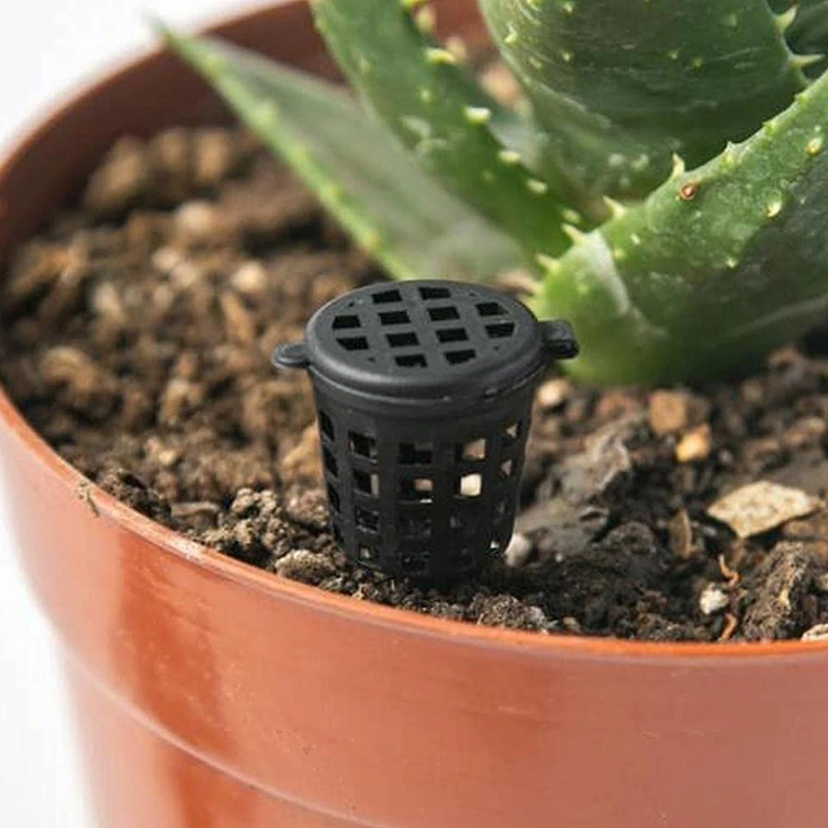 50 шт. новые корзины для удобрений с крышкой орхидея выращивание корня парка