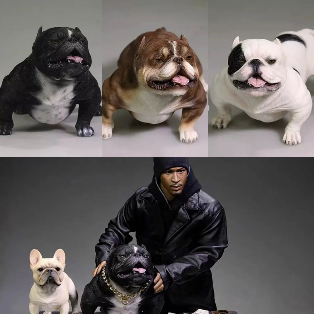 

Экшн-фигурка мистер З, животное 1/6, имитация американской бульли, собака 2,0 питбуль с ошейником, мужской солдат, аксессуары, подходит для 12 дю...