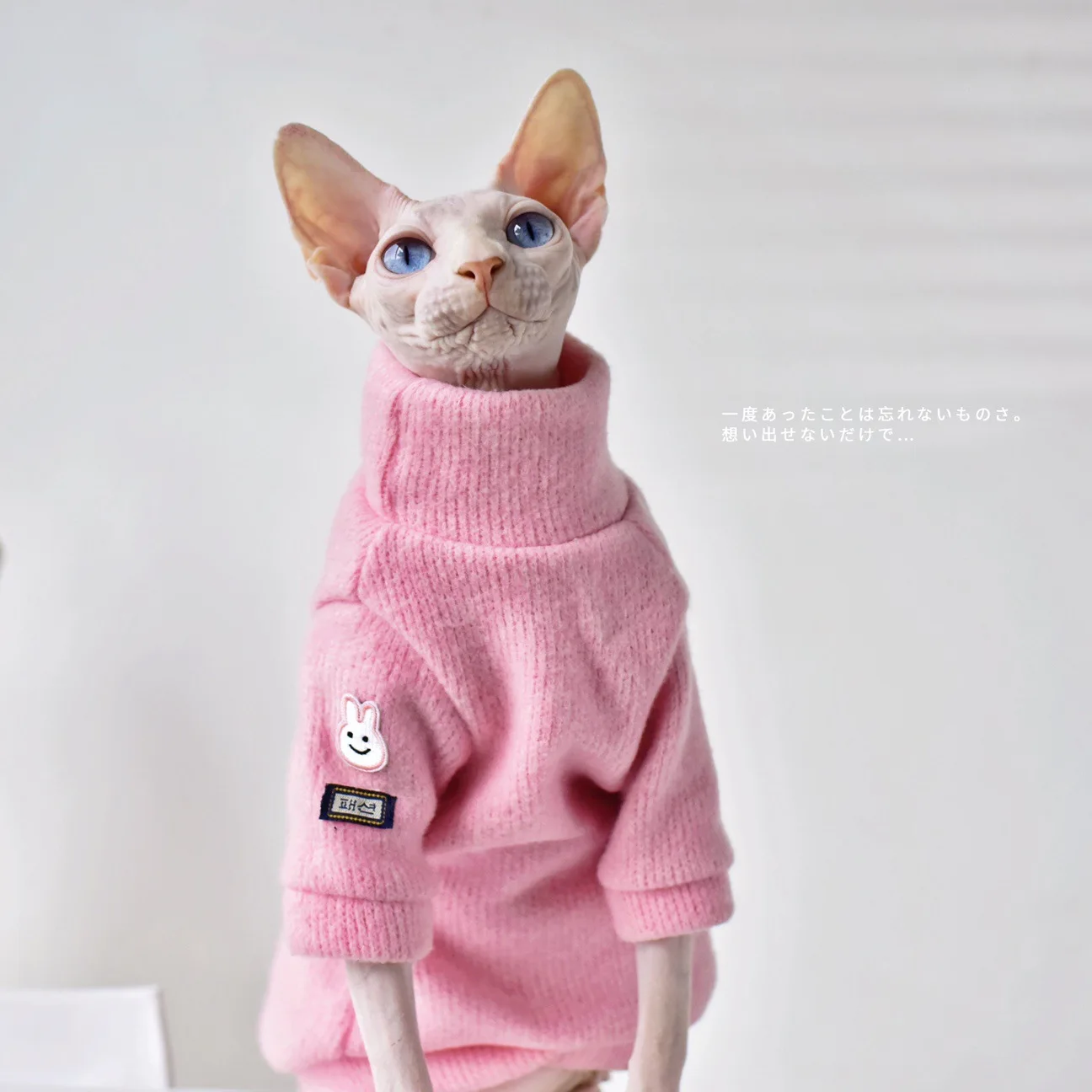 

Minimalist Design Daily Sweater / Winter Thickening Warm Sphinx Hairless Catsuit