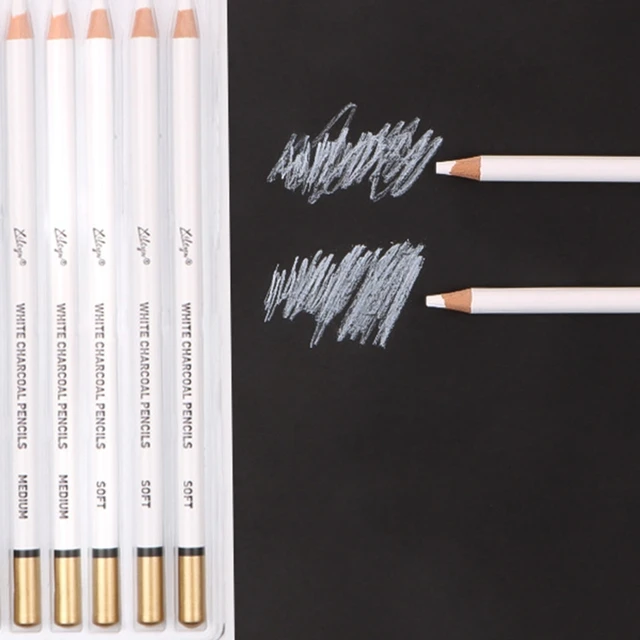 6PCS Professional White Charcoal Pencils Set Artists Sketch Highlight White  Pencil Ideal for Pro Artist Shading Dropshipping - AliExpress