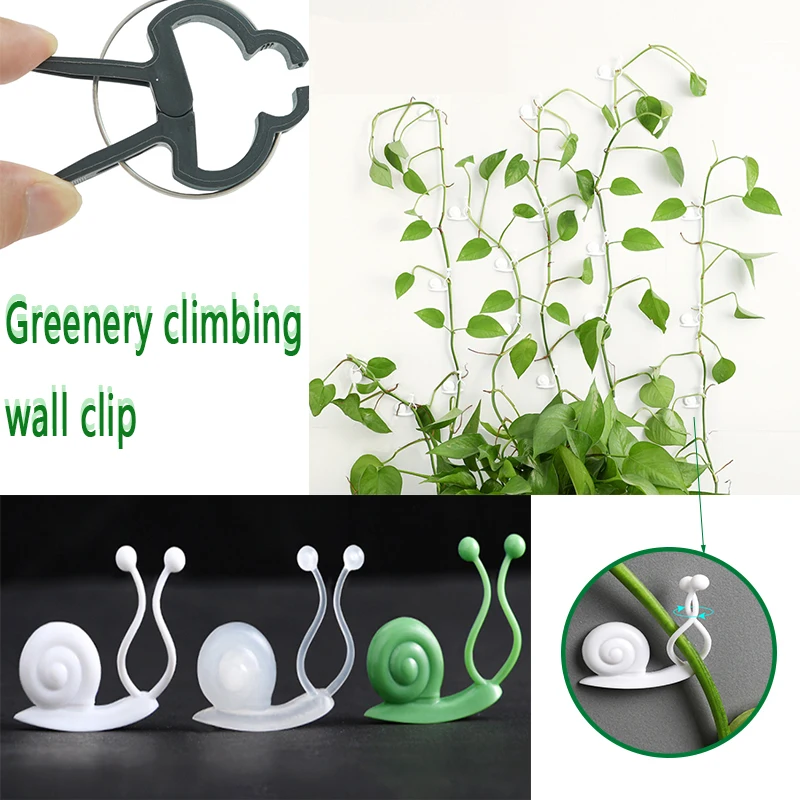 

10 Pcs Greenery Climbing Wall Clips Non-Marking Plant Fixing Buckle Branch Fixing Clip Indoor Vine Plant Wall Hook Fixing Clip