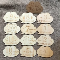 clouds baby milestone cards set of 13 monthly age discs double sided blocks for baby and pregnancy announcements farmhouse decor