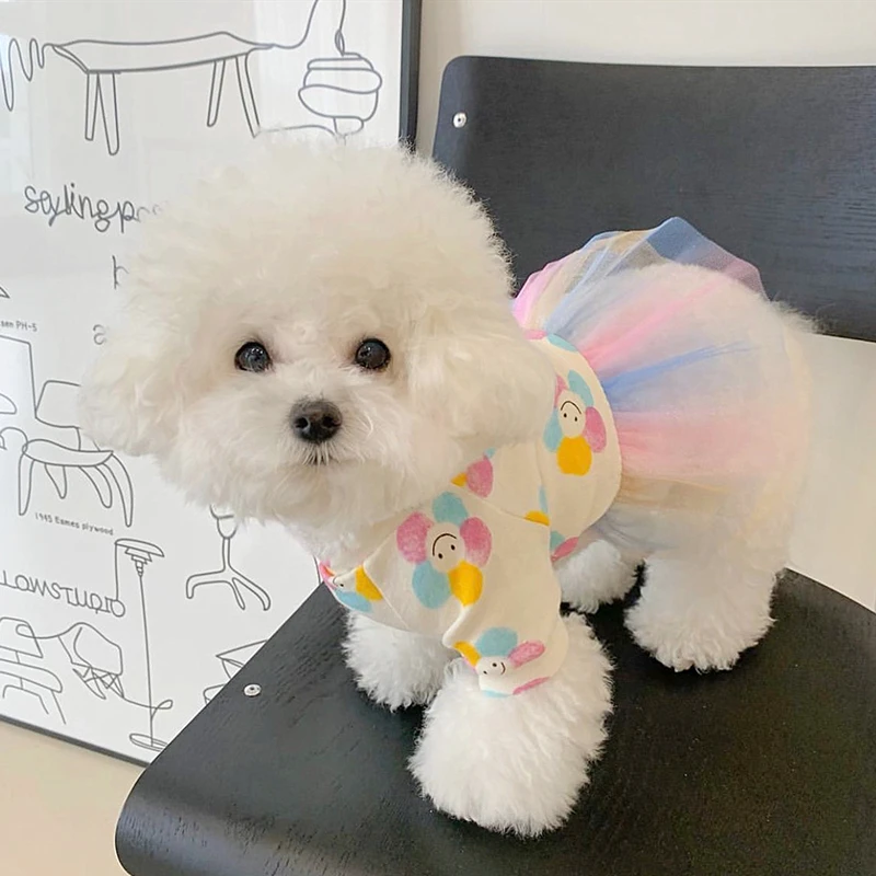 

Puppy Colorful Yarn Princess Skirt Summer Dog Clothes Pet Cool Dress Thin Section Teddy Jumper Than Bear Cute Skirt