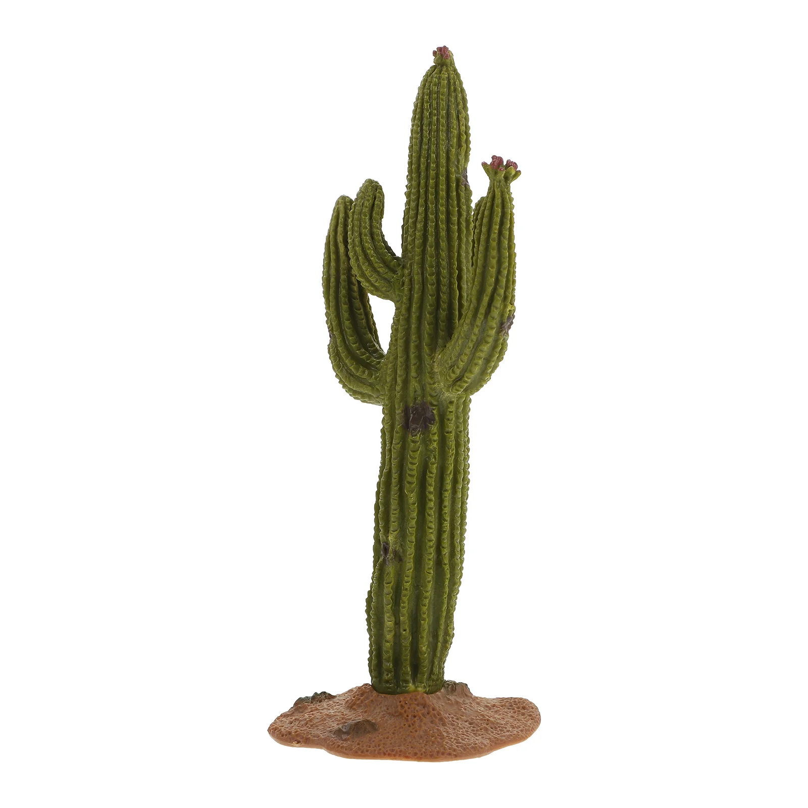 

Cactus Fake Model Decor Faux Figurine Cacuts Artificial Statue Succulent Mini Treesbonsai Lifeliketropical Miniature Tree