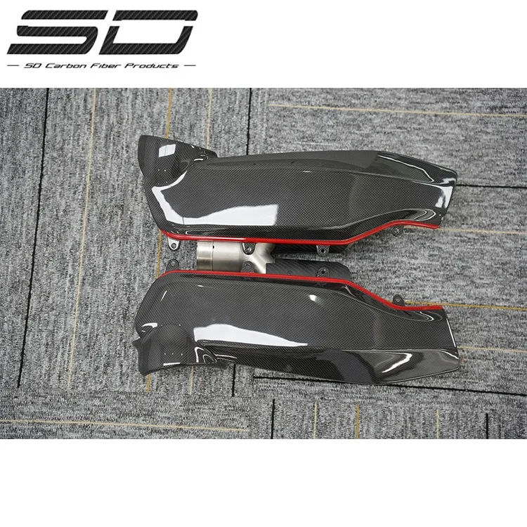 FER-RA-RI 488 углеродное волокно INNEN позвонок ABDECKUNGEN (MIT OEM-EMBLEMEN)