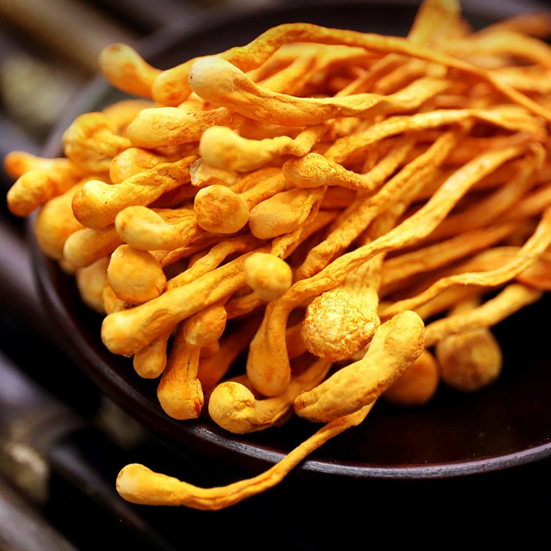 Cordyceps Sinensis Cordyceps Flower Sinensis Flower Chong Cao Hua Strengthen Immunity Chong Cao Hua