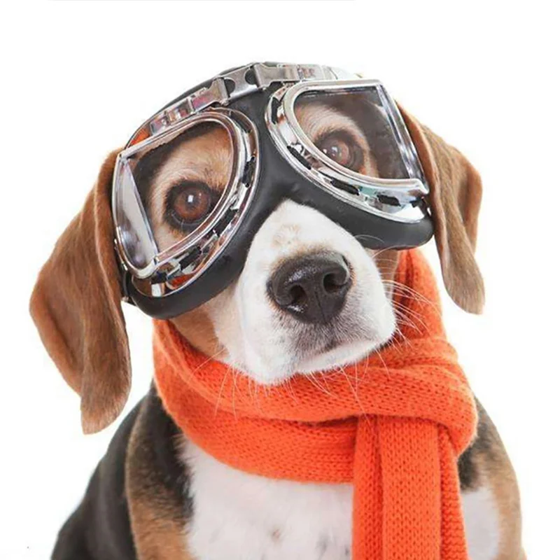 

Очки для домашних животных Halley, солнцезащитные очки с защитой от УФ-лучей для собак, декоративные очки, ветрозащитные принадлежности для до...