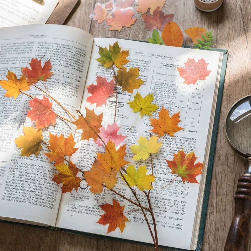 

Сумка-наклейка для домашних животных, ретро, лесное растение, ручная палатка, маленькое украшение, 6 предметов искусства, фотоэстетика, кава...