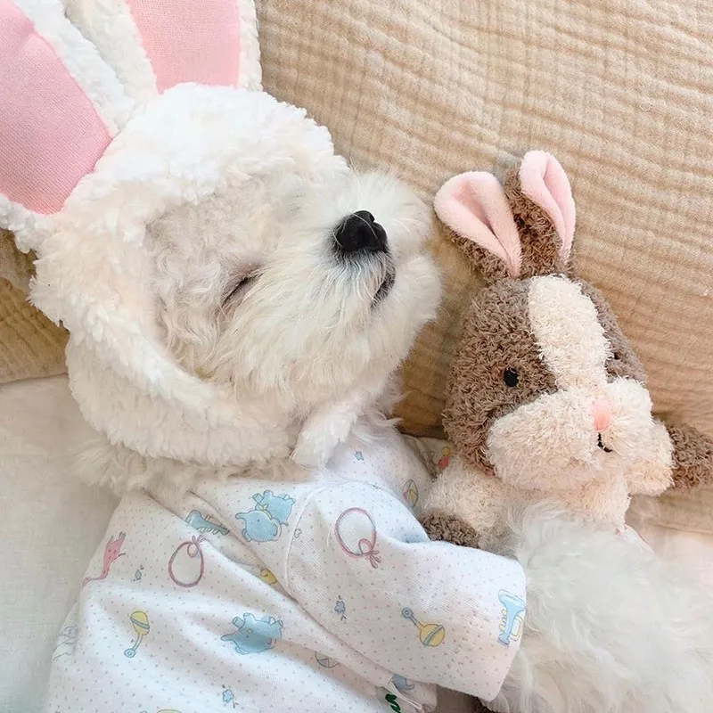 

Cartoon Pet Dog Dolls For Dog Cute Rabbit Squirrel Fleece Doll Toys Dogs Sleeping Toy Pet Toys Birthday Gift For Kids Children