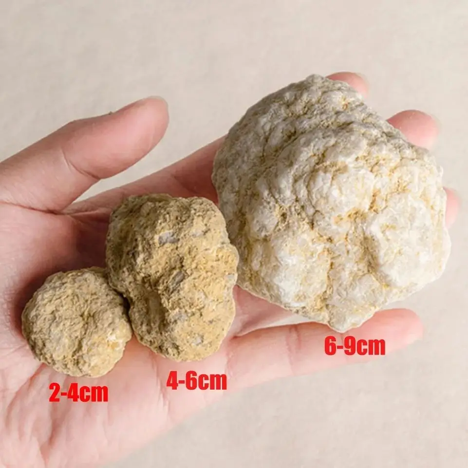 

Неоткрытые агатовые геоды