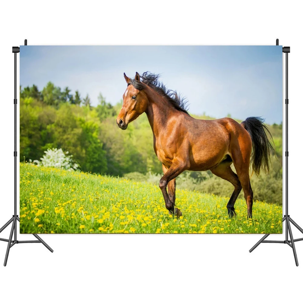 

Horse Party Birthday Theme Backdrops Party Supplies Baby Photography Backgrounds For Photo Studio Props
