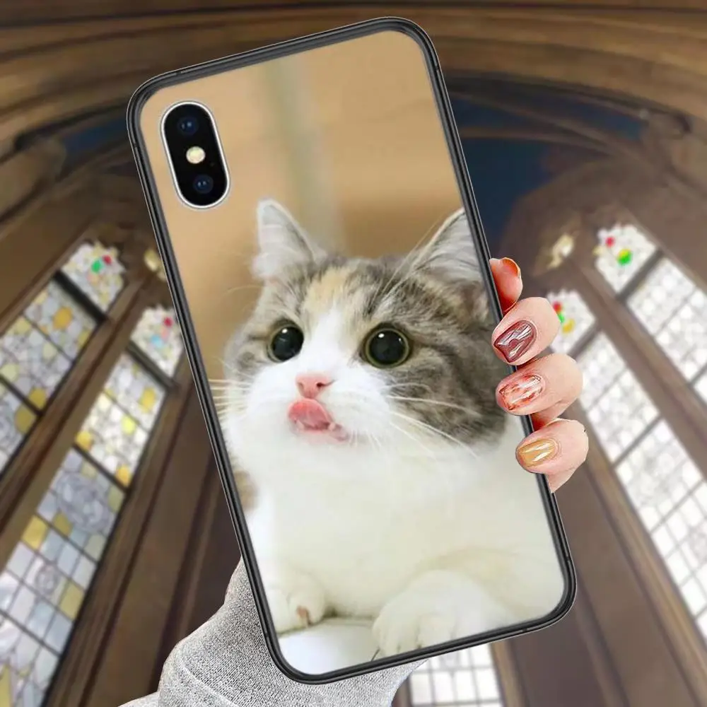 Мягкие телефонные чехлы для iPhone 13 12 11 Pro Max 8 6S 7 Plus XS XR Mini 5S SE 2022 P 6P милые домашние