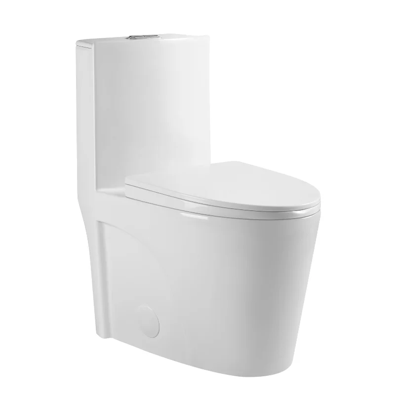 

One-Piece Toilet White Ceramic [US Stock]