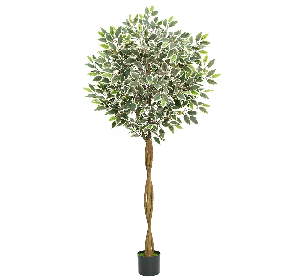 Искусственное растение с белыми краями banyan Горшечное комнатное украшение от