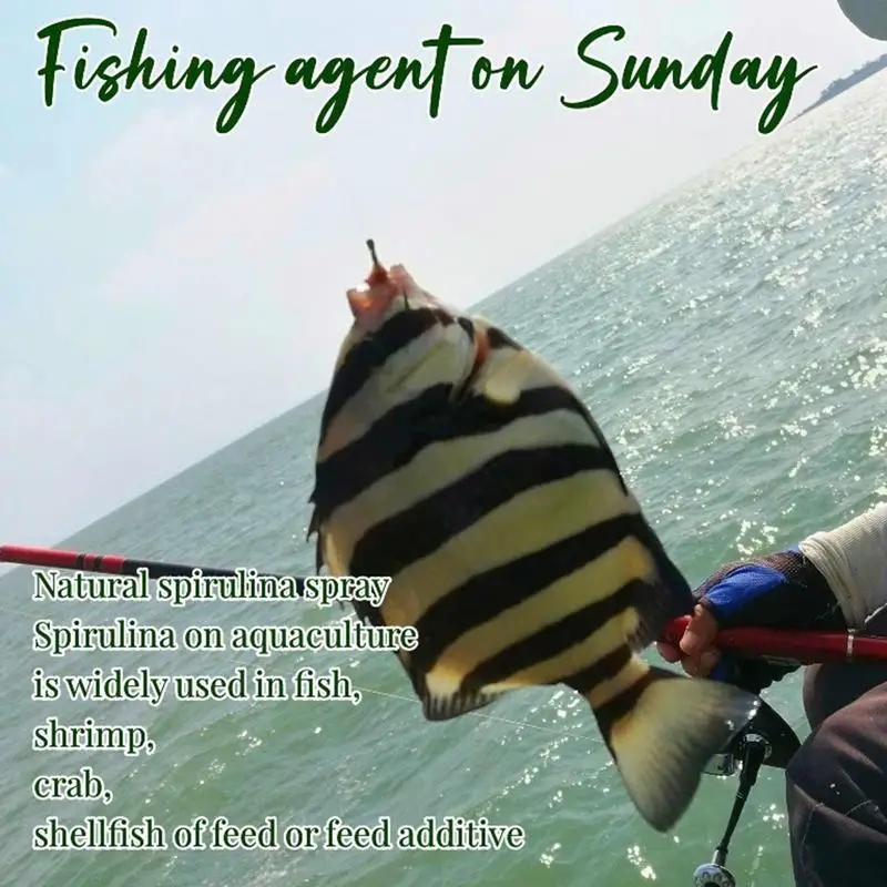 Атрактант для рыбы приманка усилитель жидкости 60 мл силовой аромат аттрактант