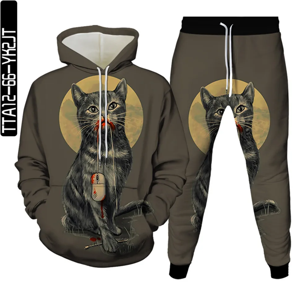 Спортивный костюм для мужчин и женщин, уличная спортивная одежда, свитшот с капюшоном и брюки, с принтом Галактики, животных, кошки, планеты, весна-осень