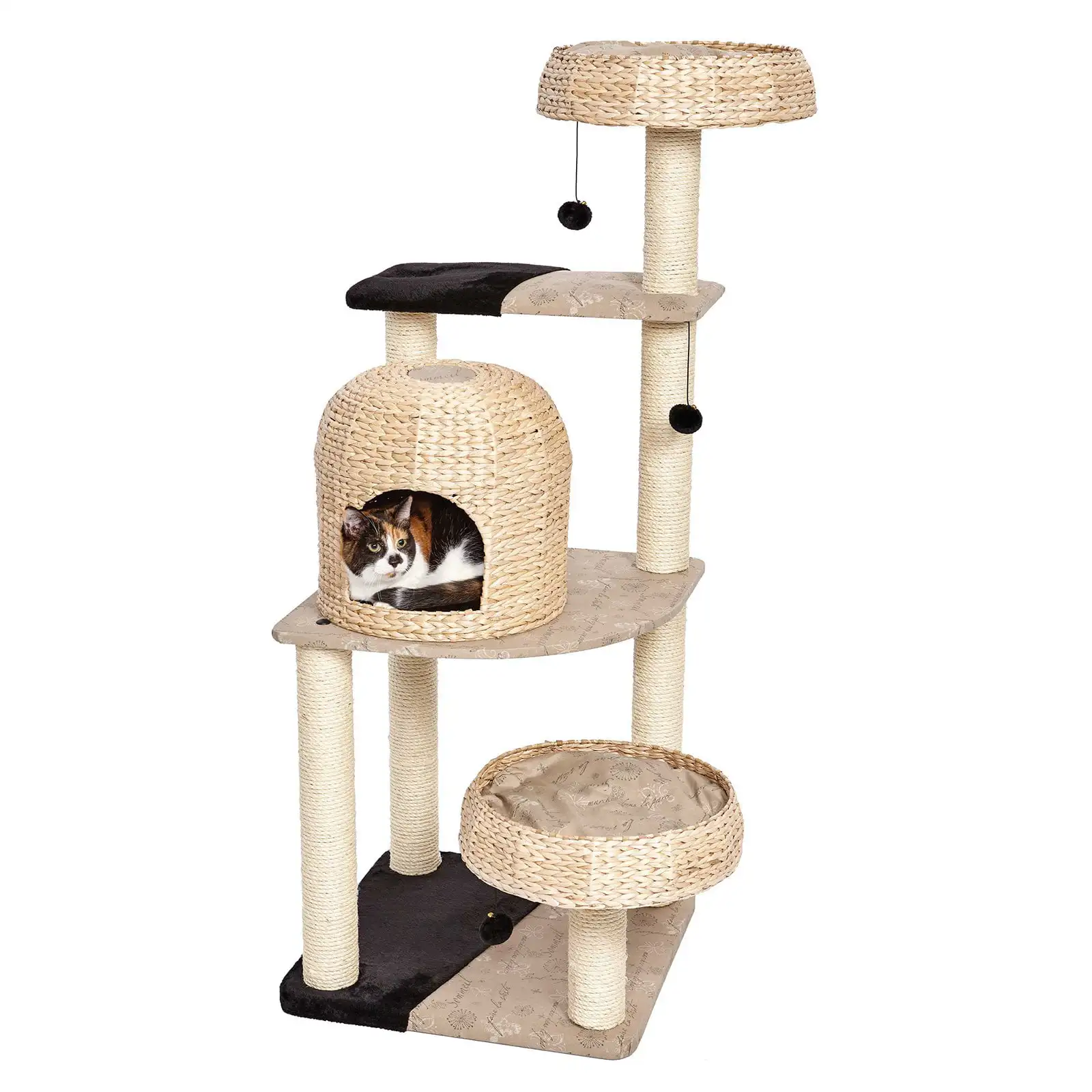 

Feline Nuvo Biscayne 60 in. Tree
