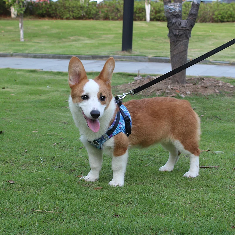 

Pet Leash Vest Dog Strap Reflective Dog Chain Breathable Cat Leash Pet Supplies Wholesale