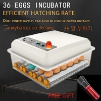 36 eggs full automatic incubator bird quail chick hatchery incubator farm brooding machine farm household