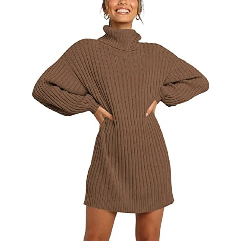 

warm Turtleneck Sweater Dress Fall Winter Long Highneck Straight 2023 Women Oversize Sweater Dresses THICK Basic Knit Dresses