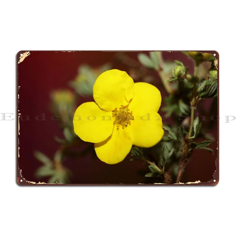 

Dasiphora Fruticosa цветок металлические знаки кинотеатр стена винтажный Печатный Create жестяной знак постер