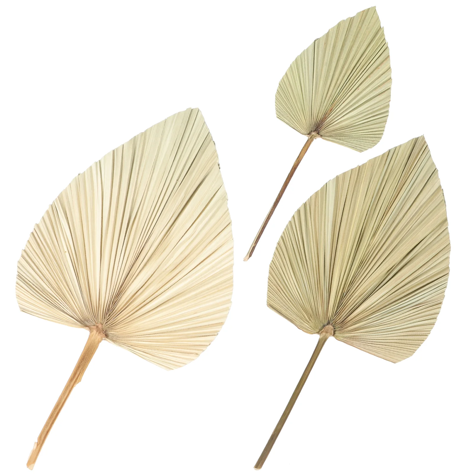 

Декор для пальмовых листьев, 3 шт., веер для сушеных пальмовых листьев, украшение для стен в отеле, декор для листьев