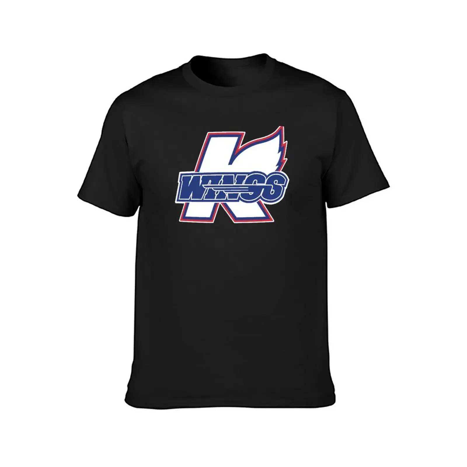 Винтажная футболка с графическим рисунком Kalamazoo красивые топы аниме одежда