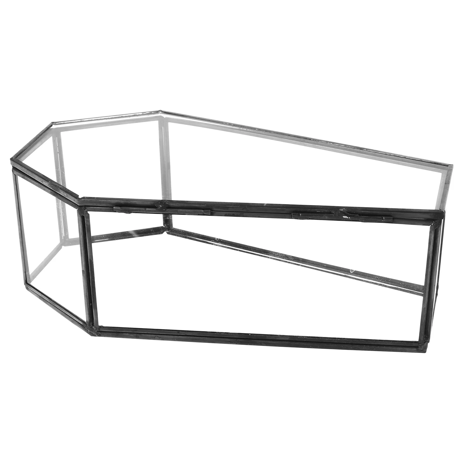 Стеклянная шкатулка для драгоценностей в виде гроба винтажная витрина на память