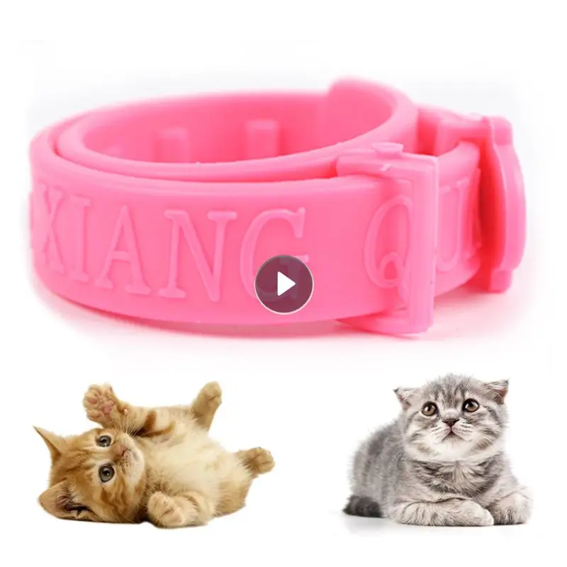 

Long-lasting Adjustable Size Effective Pet Flea Treatment Best Flea Collar Affordable Pet Accessory Cute Design Cat Collar