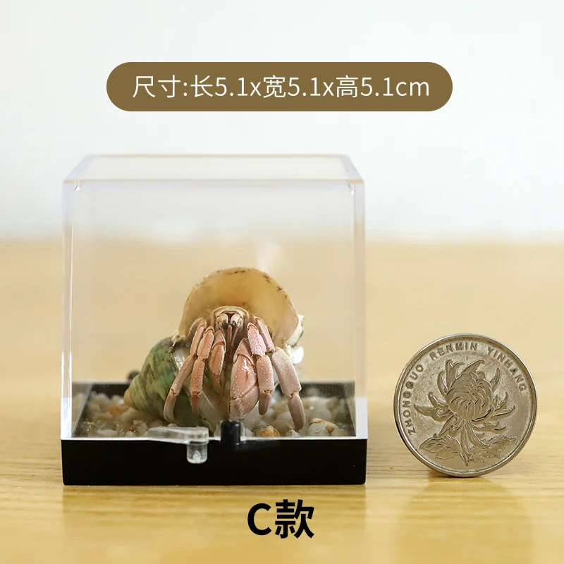 Статуэтка рака-отшельника экологические истоки диабета и рака